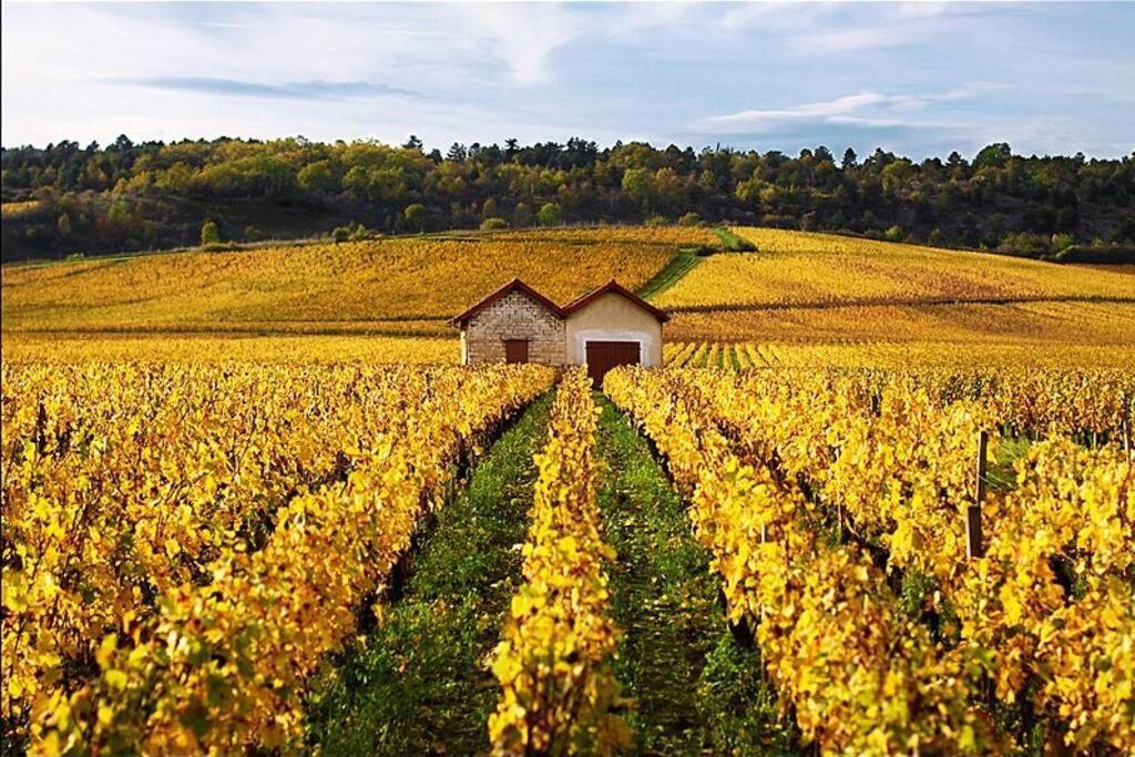 La Petite Cour Lägenhet Beaune  Exteriör bild